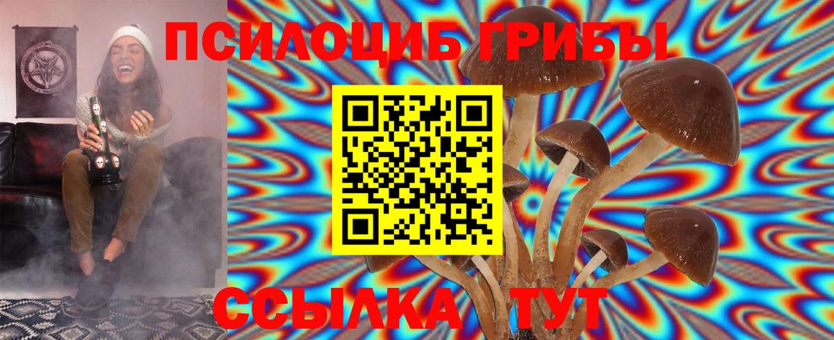 Воронеж  Псилоцибиновые грибы Magic Shrooms  закладки  Вход с VPN 